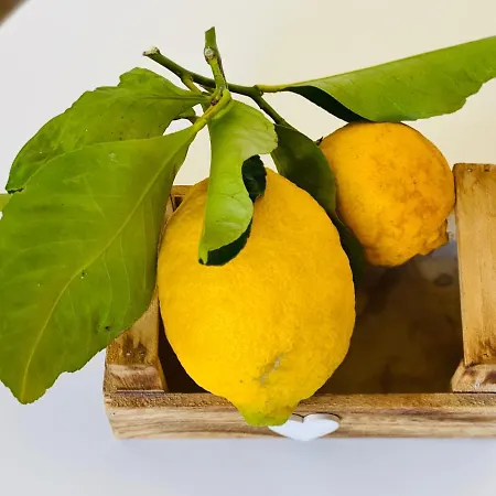 Il Chiostro Bed & Breakfast 4*